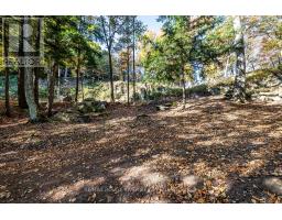 0 Thompson Portage Road, Lake Of Bays, ON P0A1H0 Photo 25