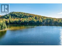 0 Thompson Portage Road, Lake Of Bays, ON P0A1H0 Photo 31