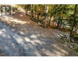 0 Thompson Portage Road, Lake Of Bays, ON P0A1H0 Photo 8