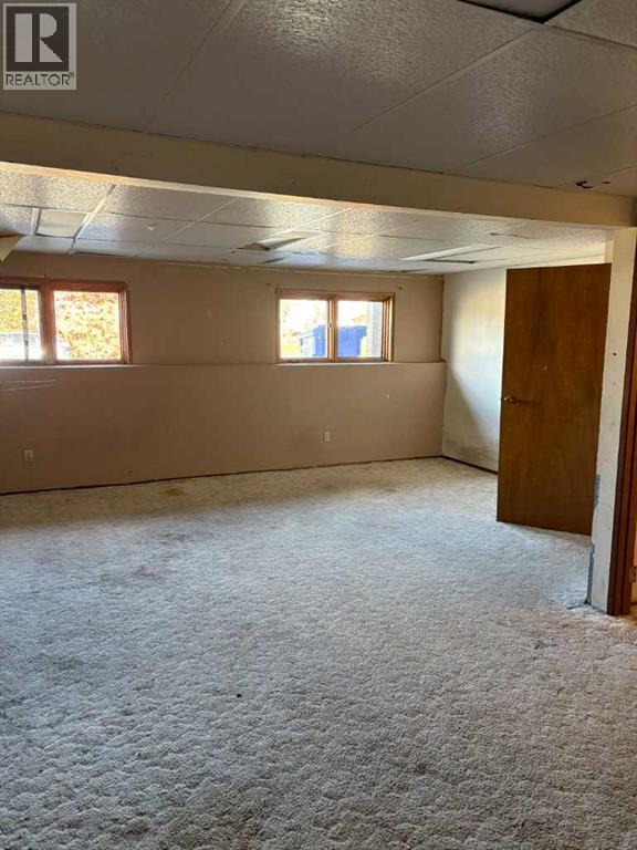 family room lower level