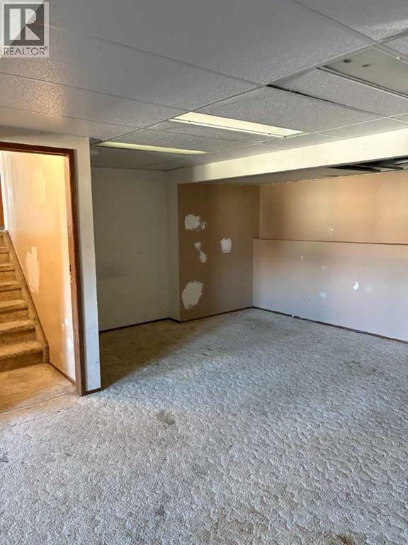 family room lower level