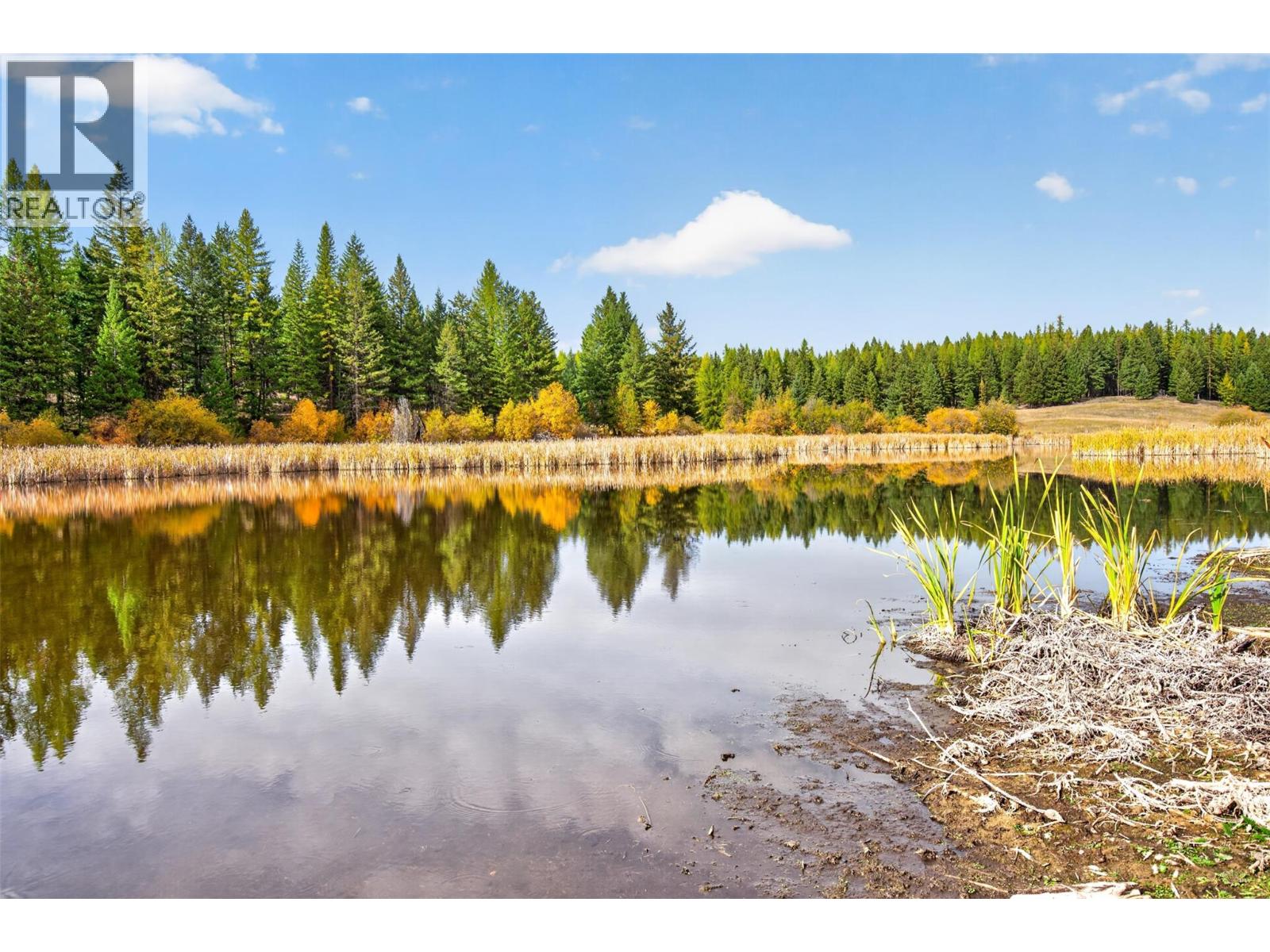 1770 Johnstone Creek Road W - 78