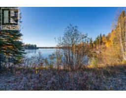 Photo 28 of 40, 25260 N NESS LAKE ROAD · Prince George, BC