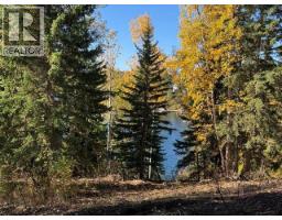 Photo 35 of 40, 25260 N NESS LAKE ROAD · Prince George, BC