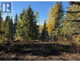 Photo 36 of 40, 25260 N NESS LAKE ROAD · Prince George, BC
