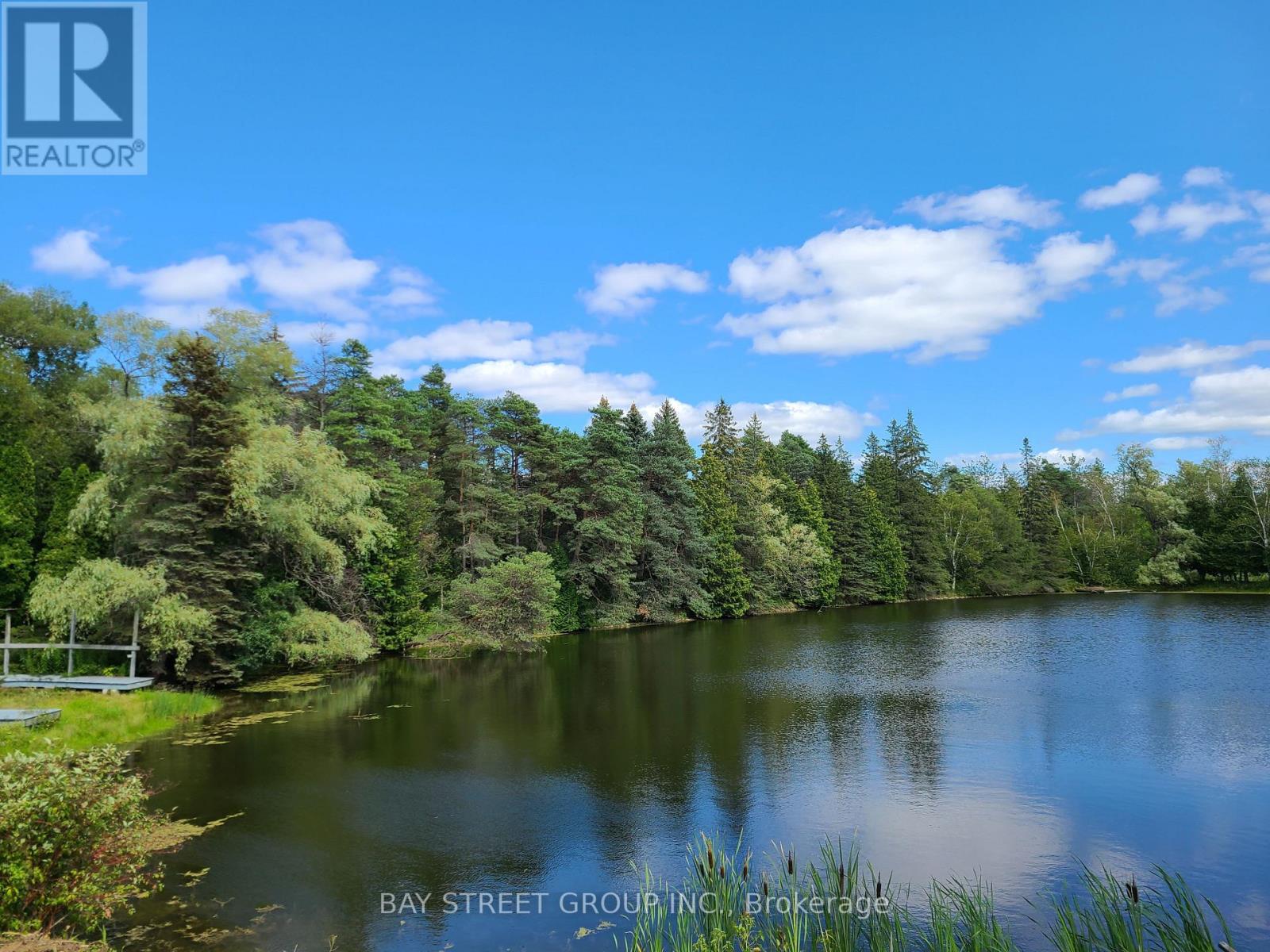 13123 Mccowan Road, Whitchurch-Stouffville, ON photo 24