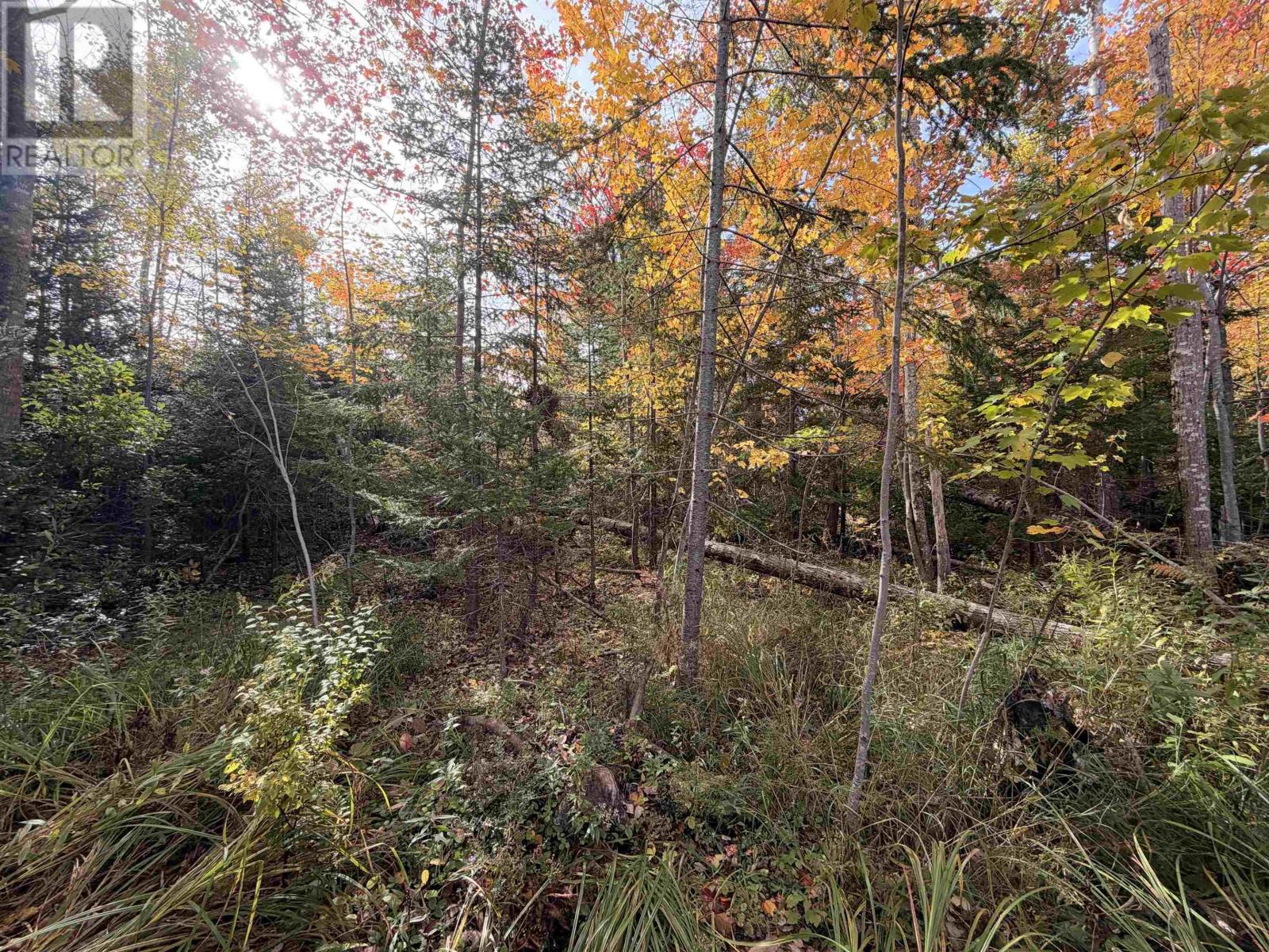 Property 10 of 11 of Lot 9 Brule Shore Road
