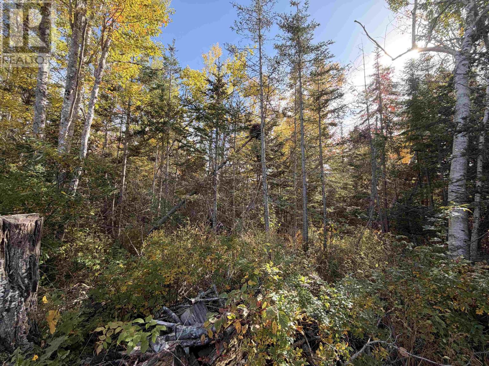 Property 8 of 11 of Lot 9 Brule Shore Road
