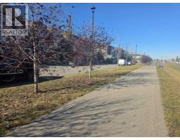 220 Windford Crescent Sw, Airdrie, AB T4B4G5 Photo 38