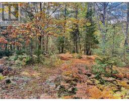 1041 Holiday Park Drive, Bracebridge, ON P1L1W9 Photo 16