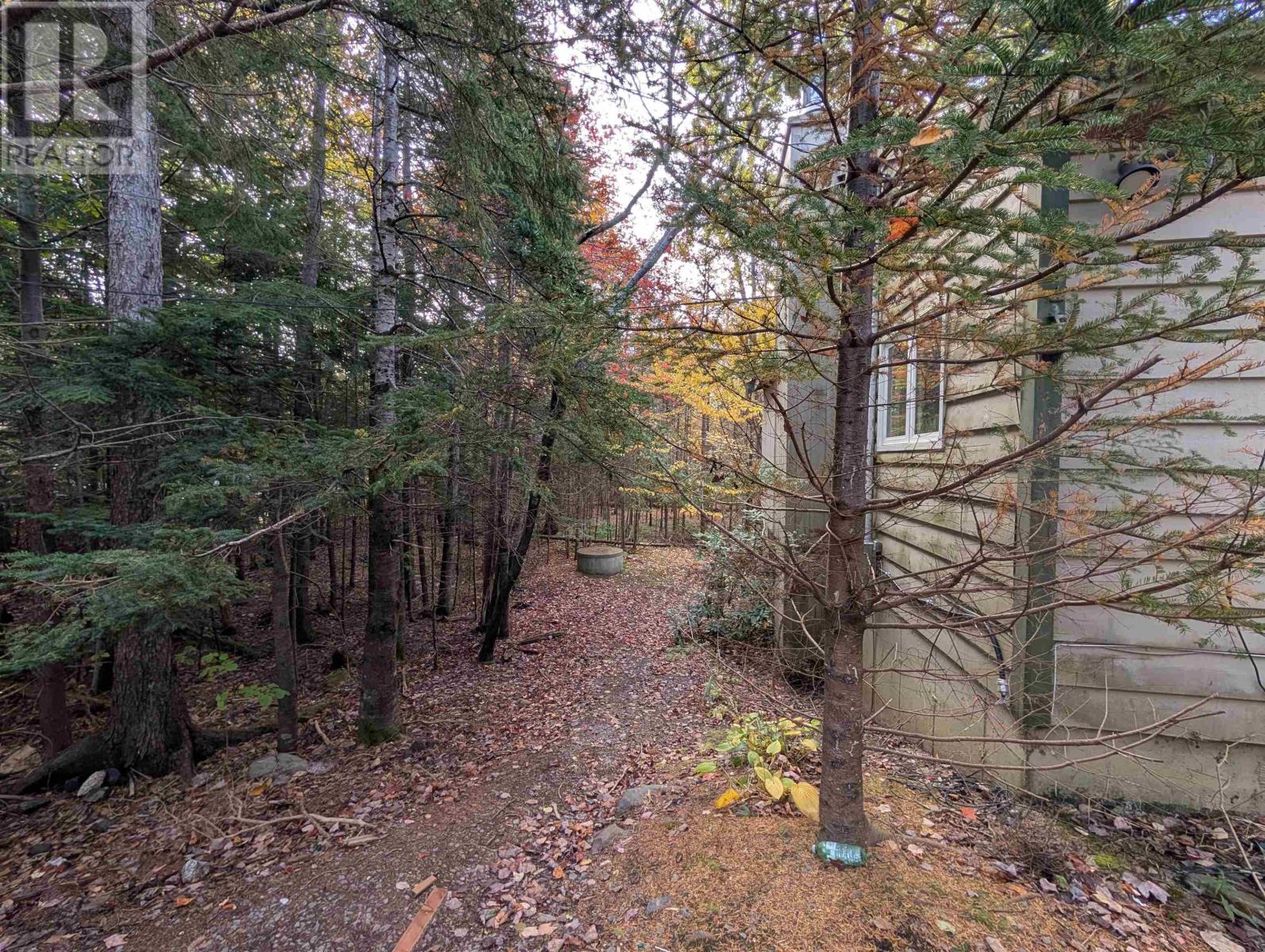 19 Foster Avenue - 5