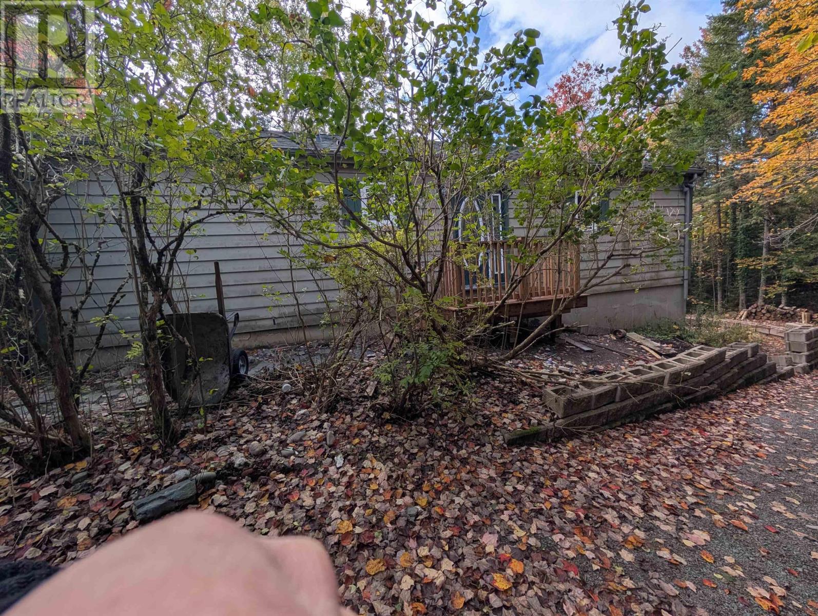 19 Foster Avenue - 7