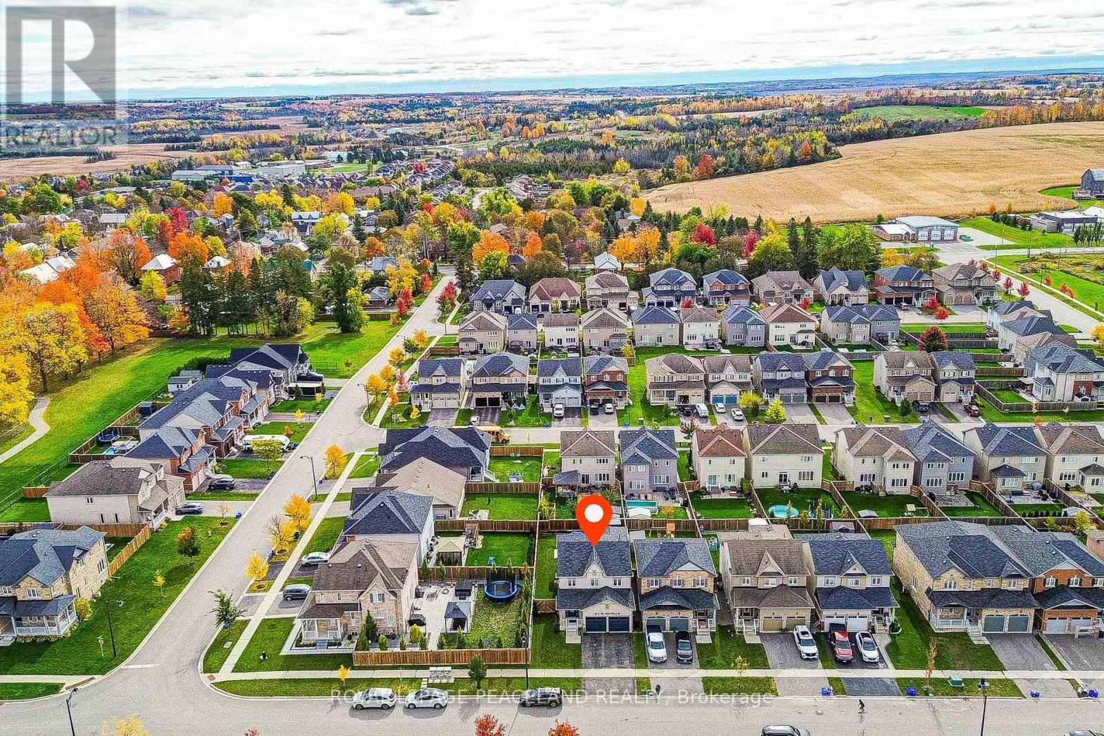 21 DON HADDEN CRESCENT - 5