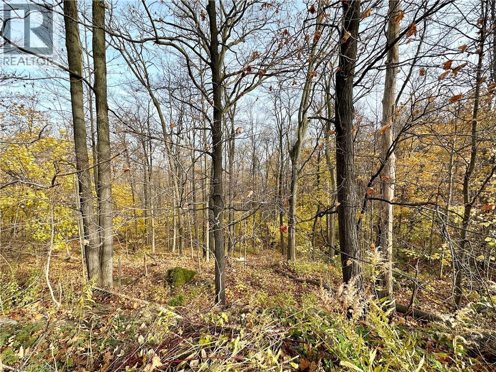 49 Ridge Road East — photo 19
