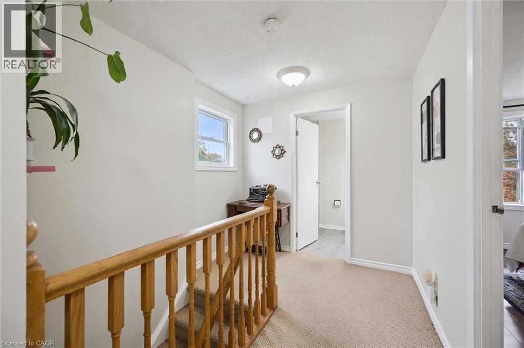 246 Patricia Road — photo 17