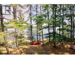 8 Island 1rl Island, Gravenhurst, ON P1P1R3 Photo 23