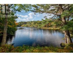 113 Broad River Road, Summerville Centre, NS B0T1T0 Photo 38