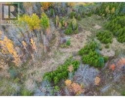 281140 Shouldice Block Road, Georgian Bluffs, ON N0H2K0 Photo 10