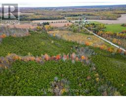281140 Shouldice Block Road, Georgian Bluffs, ON N0H2K0 Photo 6
