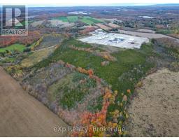281140 Shouldice Block Road, Georgian Bluffs, ON N0H2K0 Photo 8