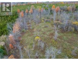 281140 Shouldice Block Road, Georgian Bluffs, ON N0H2K0 Photo 9
