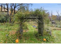 230 Rocknotch Road, South Tremont, NS B0P1R0 Photo 41