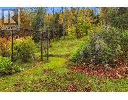 230 Rocknotch Road, South Tremont, NS B0P1R0 Photo 42