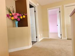 6 Millbank Avenue, Winnipeg, MB R3Y0B4 Photo 21