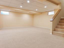 6 Millbank Avenue, Winnipeg, MB R3Y0B4 Photo 39
