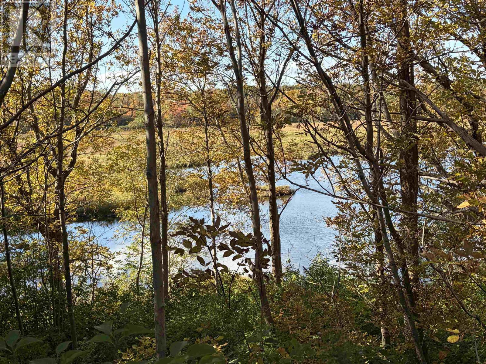 16445 Cabot Trail - 16