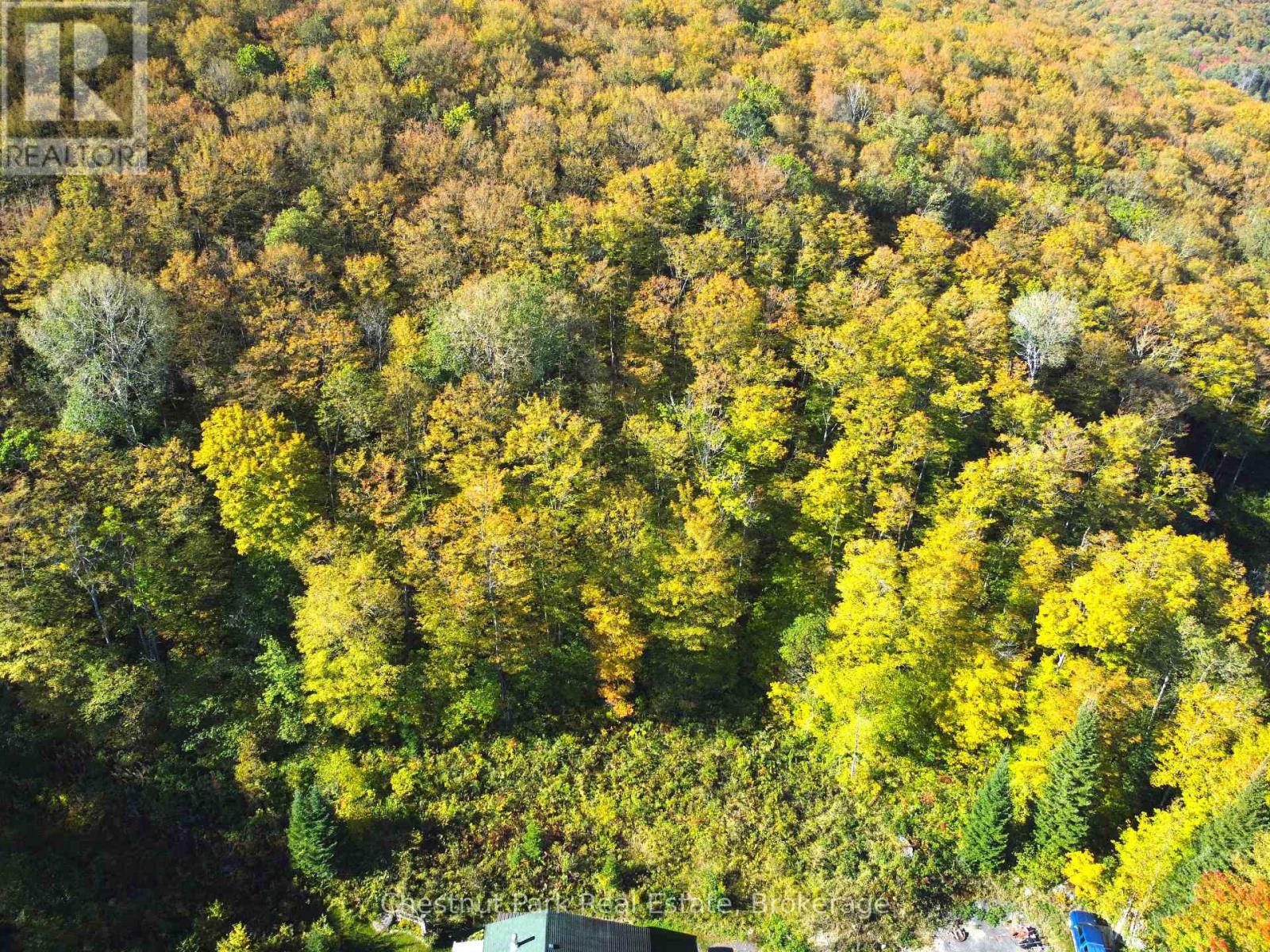 421 Peggs Mountain Road — photo 47