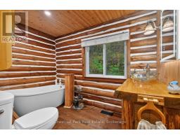 Other - 421 Peggs Mountain Road, Ryerson, ON P0A1C0 Photo 11