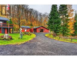 421 Peggs Mountain Road, Ryerson, ON P0A1C0 Photo 40