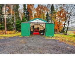 421 Peggs Mountain Road, Ryerson, ON P0A1C0 Photo 41