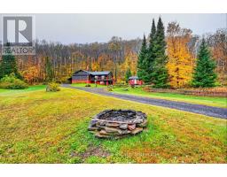 421 Peggs Mountain Road, Ryerson, ON P0A1C0 Photo 44