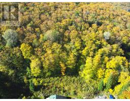 421 Peggs Mountain Road, Ryerson, ON P0A1C0 Photo 47