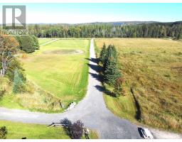 421 Peggs Mountain Road, Ryerson, ON P0A1C0 Photo 48
