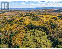 920 Barley Street, Garland, NS B0P1E0 Photo 22