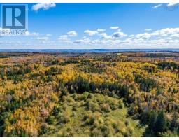 920 Barley Street, Garland, NS B0P1E0 Photo 25