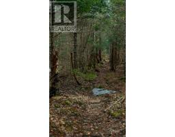 920 Barley Street, Garland, NS B0P1E0 Photo 35