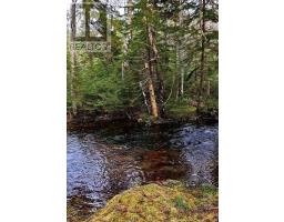 920 Barley Street, Garland, NS B0P1E0 Photo 32