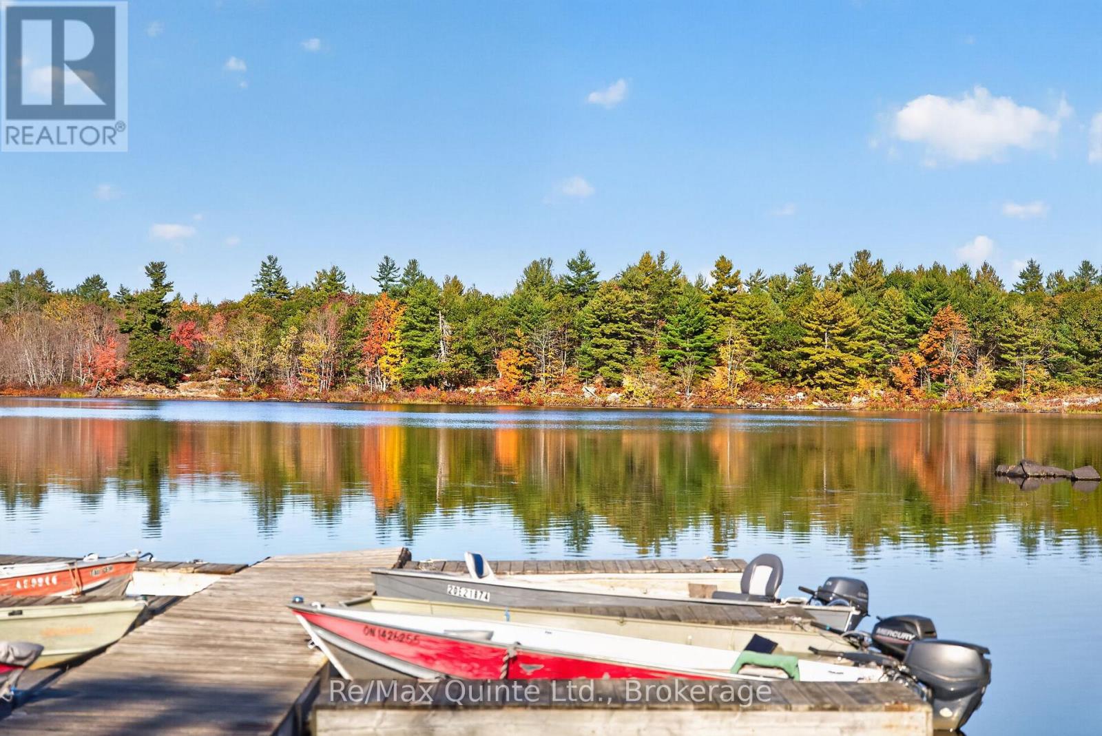 87 Gull Creek Lane, Stone Mills, ON photo 4