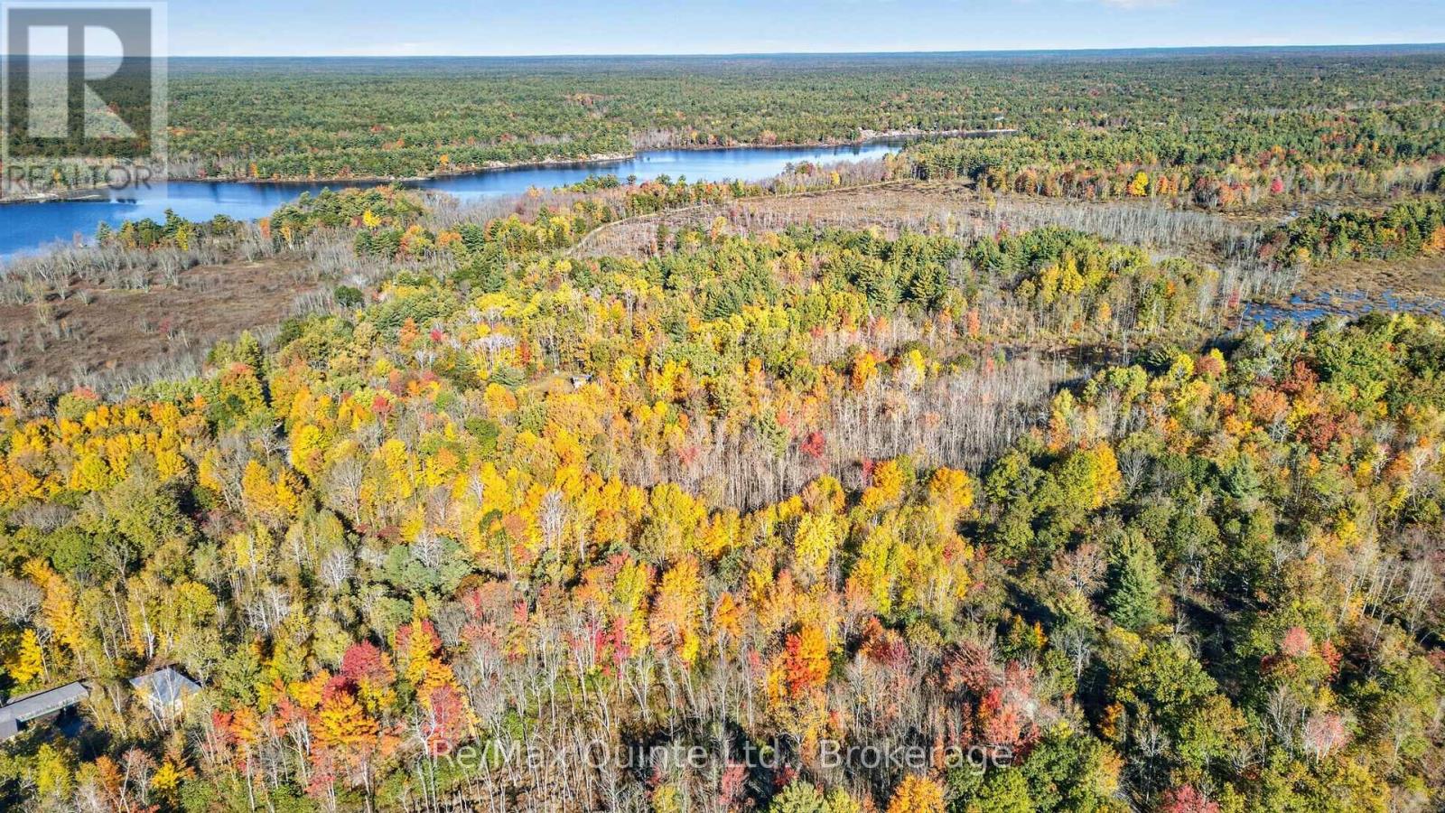 87 Gull Creek Lane, Stone Mills, ON photo 18