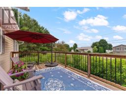 62 Meadowview Drive, Whitewater Region, ON K0J1C0 Photo 38