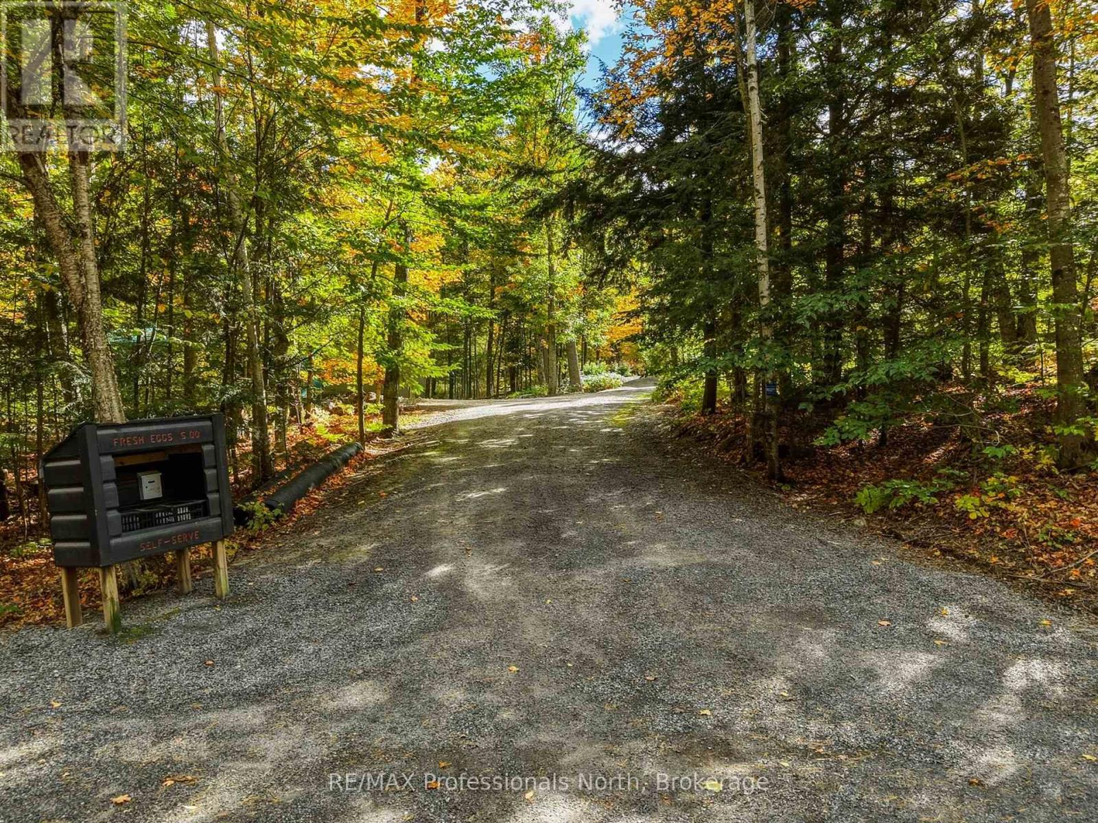 1266 NORTH SHORE ROAD, Muskoka Lakes (Watt) — photo 3