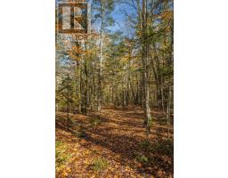 0 Lakeshore Road, Armour, ON P0A1C0 Photo 12