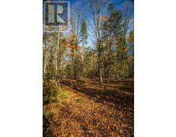 0 Lakeshore Road, Armour, ON P0A1C0 Photo 13