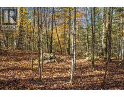 0 Lakeshore Road, Armour, ON P0A1C0 Photo 14