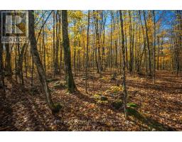 0 Lakeshore Road, Armour, ON P0A1C0 Photo 15