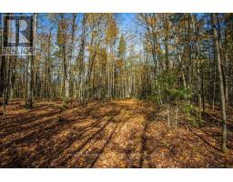 0 Lakeshore Road, Armour, ON P0A1C0 Photo 16